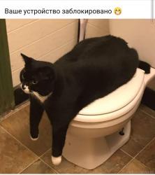 Посмеялся сам - поделись с другом!!!